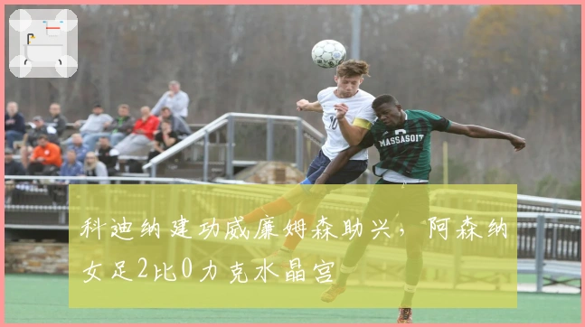科迪纳建功威廉姆森助兴，阿森纳女足2比0力克水晶宫
