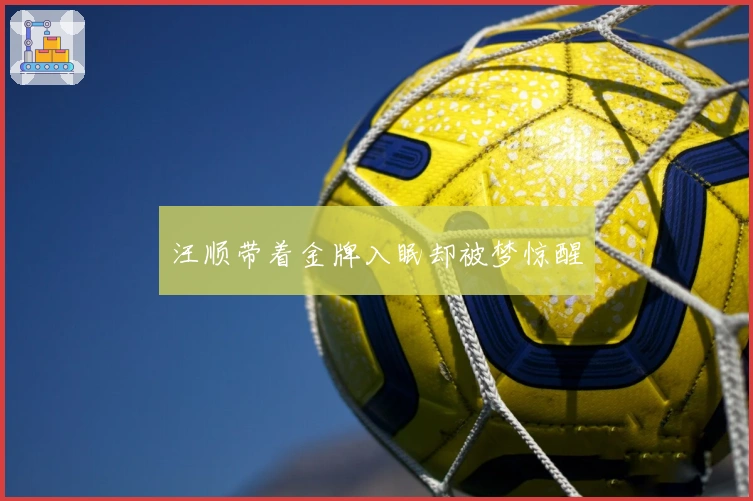 汪顺带着金牌入眠却被梦惊醒